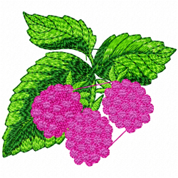 Raspberry Embroidery Design 1 Raspberry Embroidery Design 1